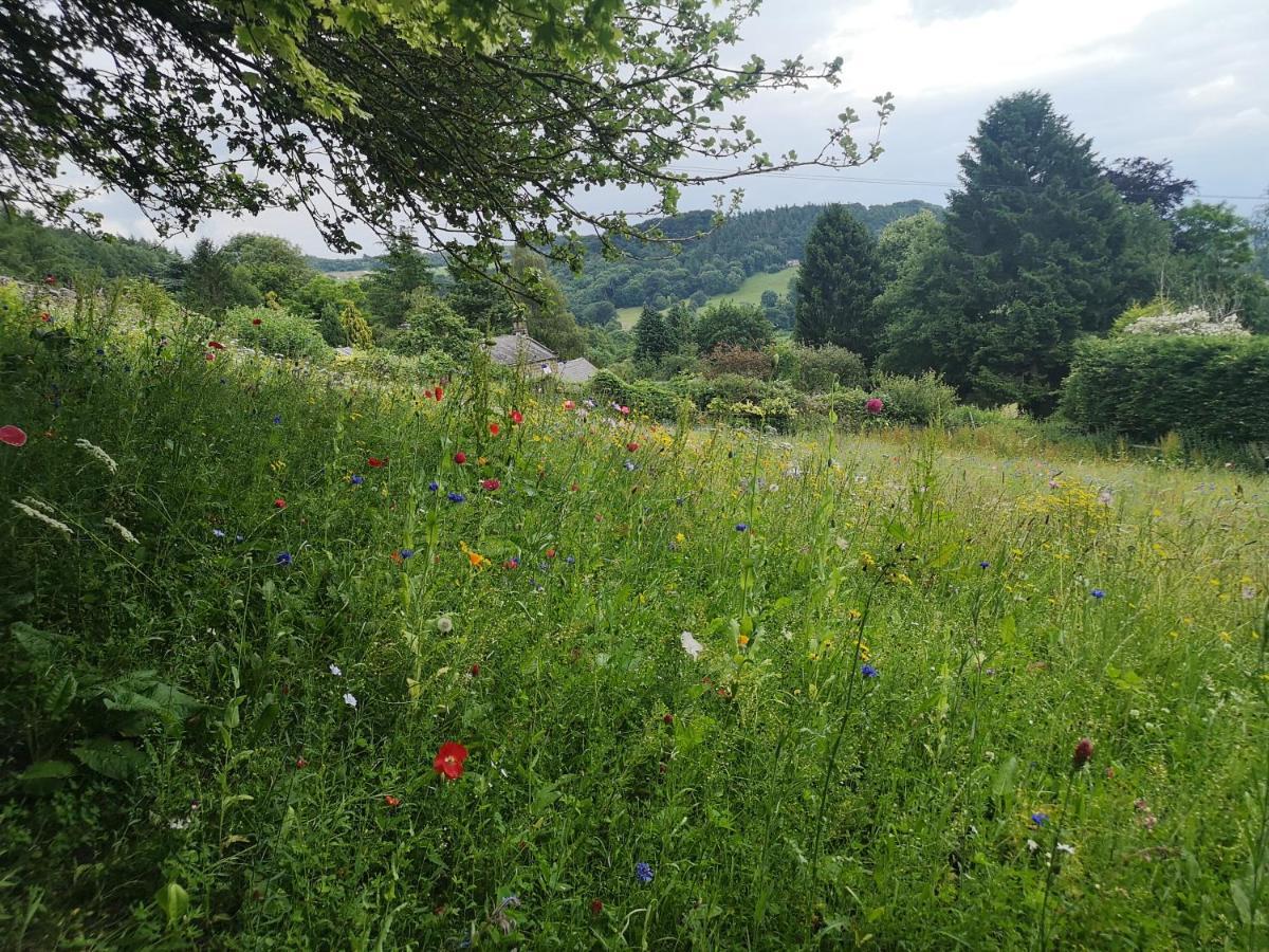 1 Bed Studio In Two Dales Near Matlock & Bakewell Eksteriør bilde